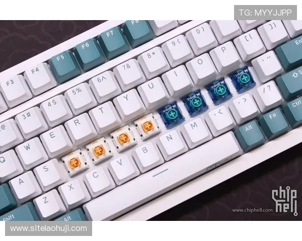 ttc键盘官网最新产品介绍与购买指南，全面了解ttc键盘的优质性能与用户体验