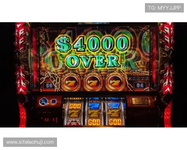 不同类型角子机游戏机的特点与适用场景介绍