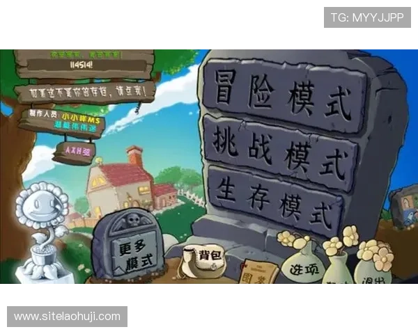 权威机构发布2024年老虎机游戏网站排行，优质平台一网打尽