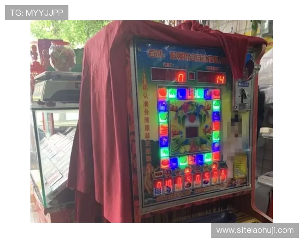 玩老虎机被拘留会不会留案底对个人信用和未来生活有哪些影响