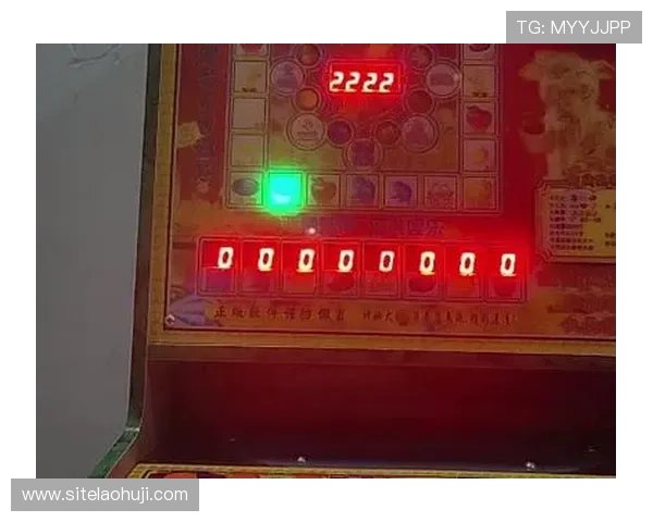 多福多财老虎机适合不同玩家的多样化玩法，满足各种游戏需求